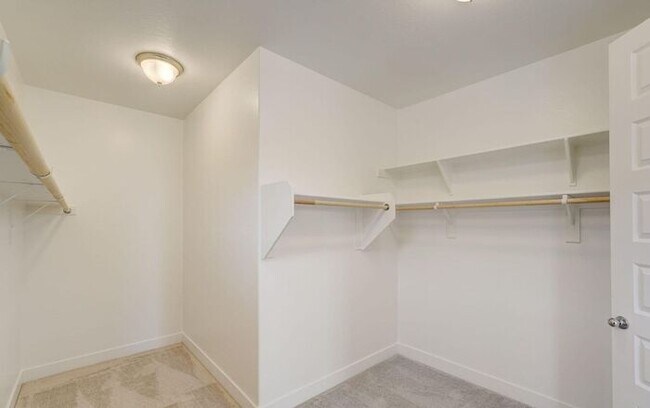 Building Photo - Stunning 3beds/2baths brand new home locat...