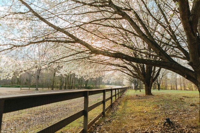 Building Photo - 565 Schaeffer Loop