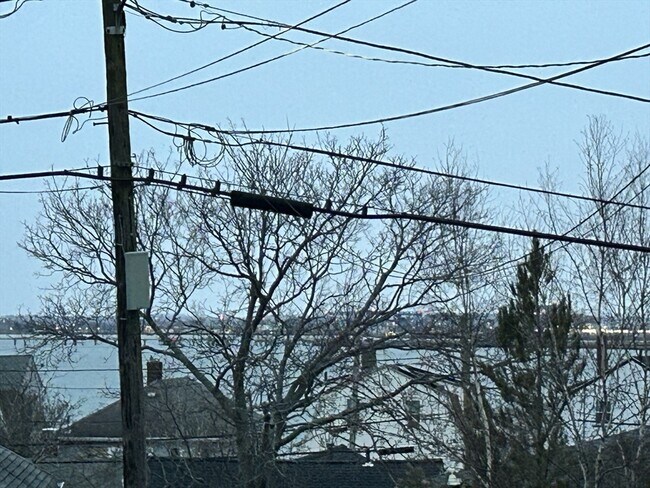 Building Photo - 49 R Siren St