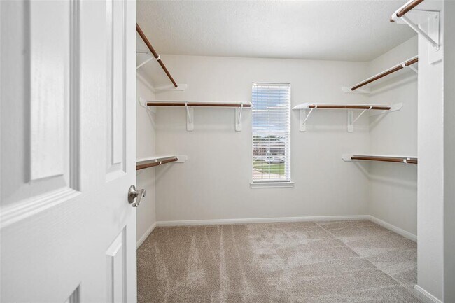 Building Photo - 12047 Belle Ct