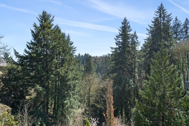Building Photo - Freshly Remodeled Stunner Perched on the H...