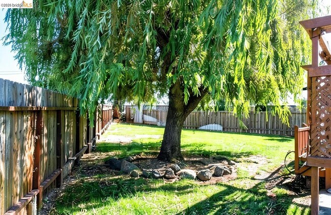 Building Photo - 2413 Santa Cruz Ct