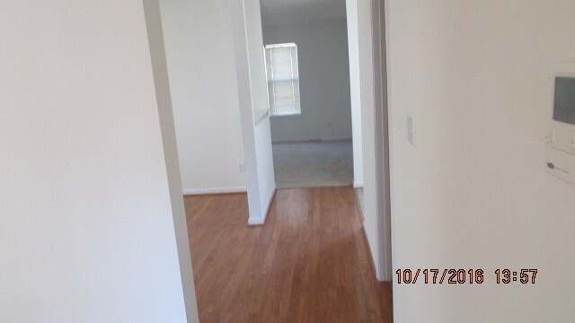 Building Photo - 113 Amelia Ct