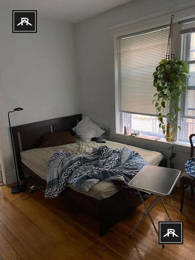 Building Photo - 1 bedroom in Brighton MA 02135