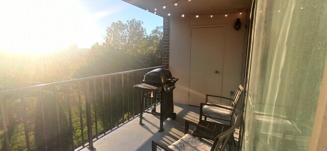 Spacious balcony with extra storage space - 100 Roberts Ln