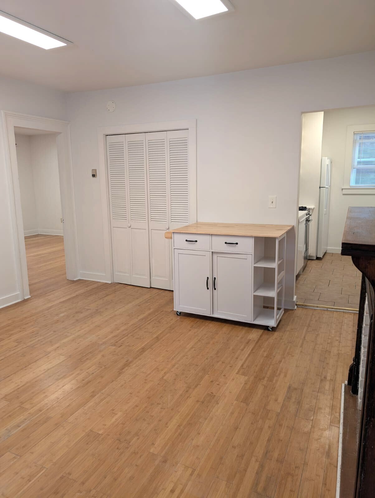 LR. closet, portable kitchen island. BR to left, Kitchen to right - 40 Lyon St