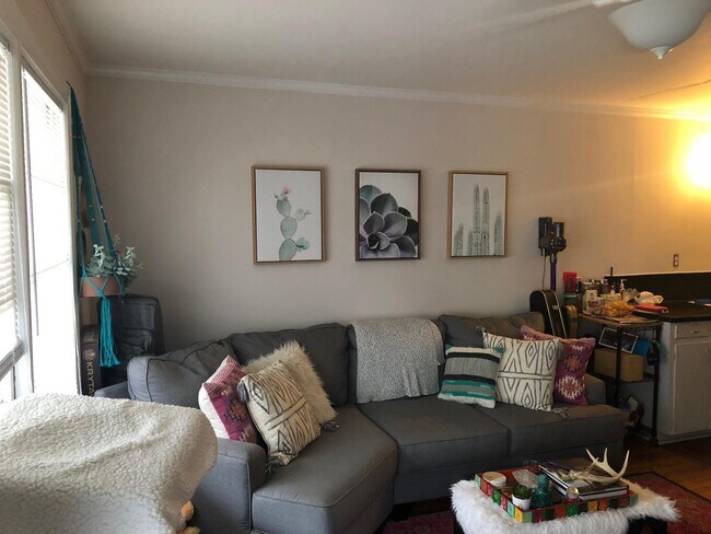 1803-e-6th-st-1803-e-6th-st-greenville-nc-27858-apartment-finder