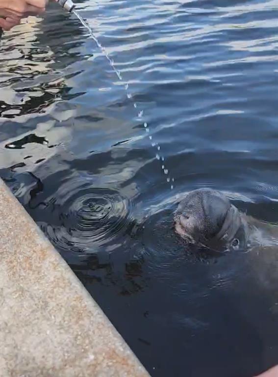 Building Photo - 1210 Maryknoll Rd