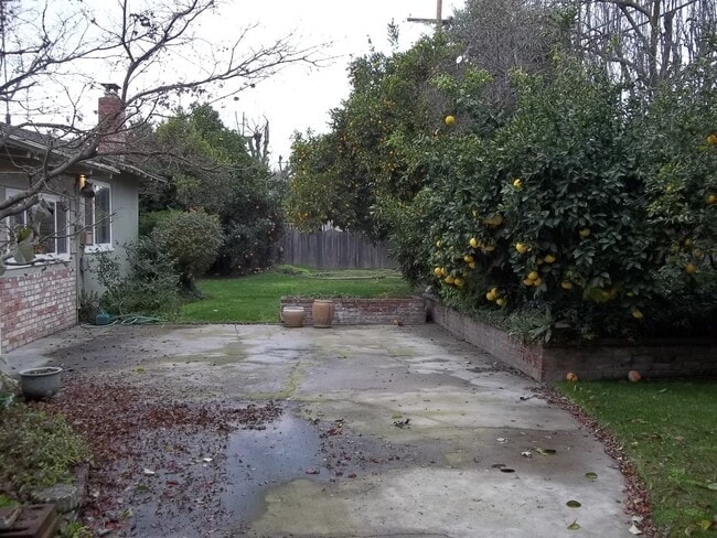 Building Photo - 258 W San Madele Ave