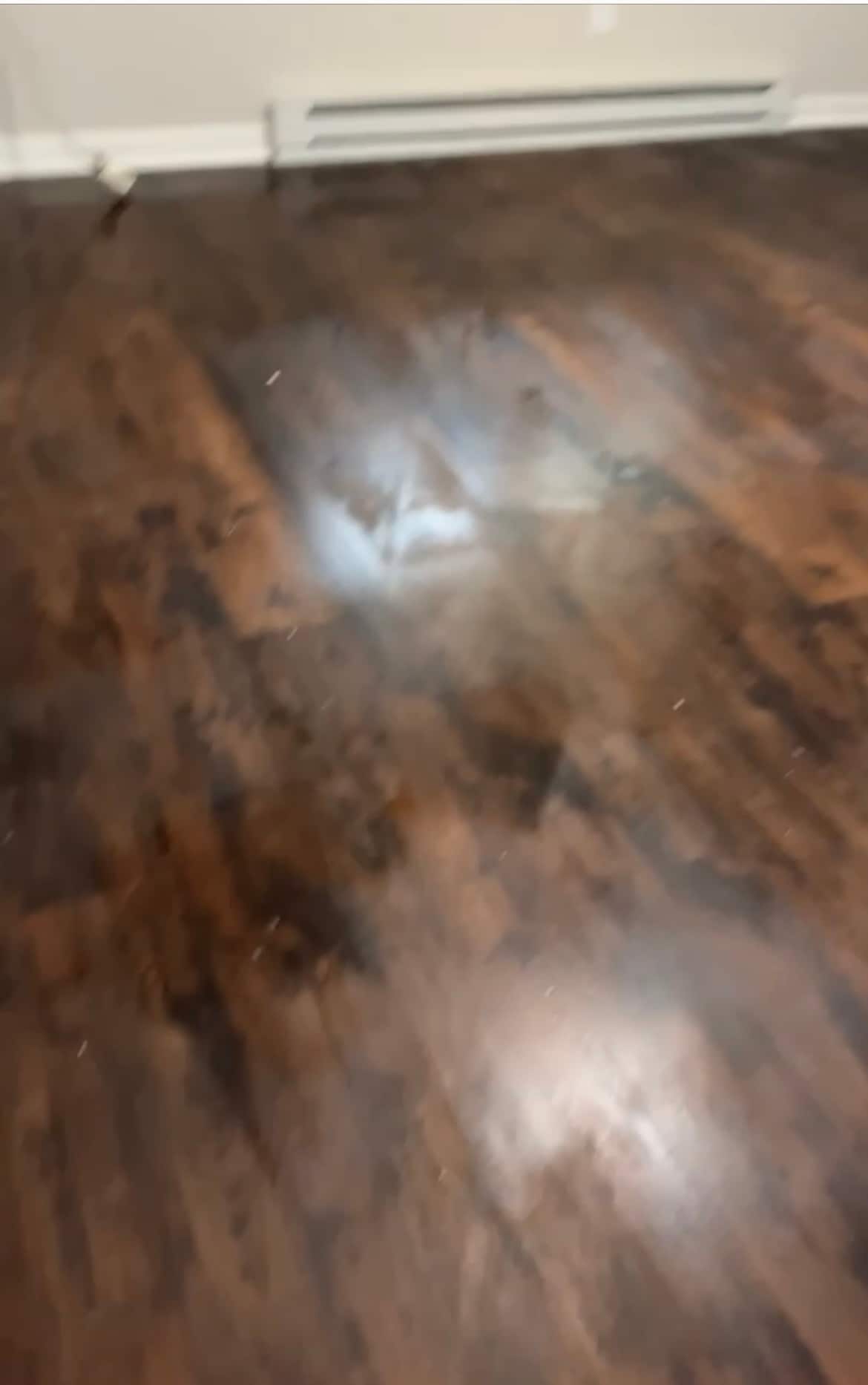 New Flooring - 6051 Tobaccoville Rd