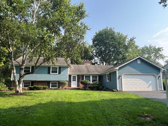 Primary Photo - 25W135 Essex Ave