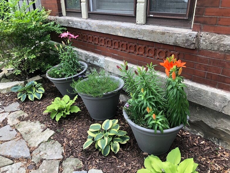 Building Photo - 822 N Wood St