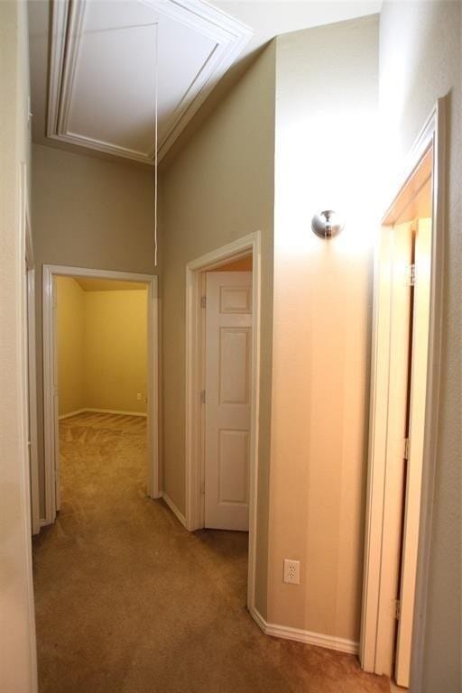Building Photo - 4510 Long Creek Dr