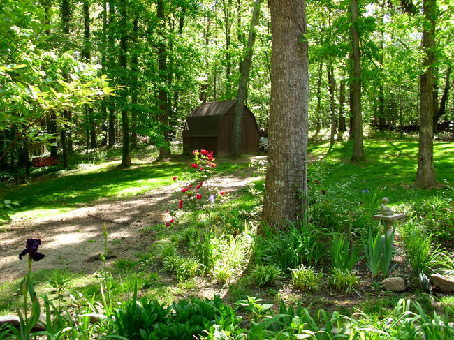 Walking and bike trails back yard - 2177 Kings Mountain Dr NE