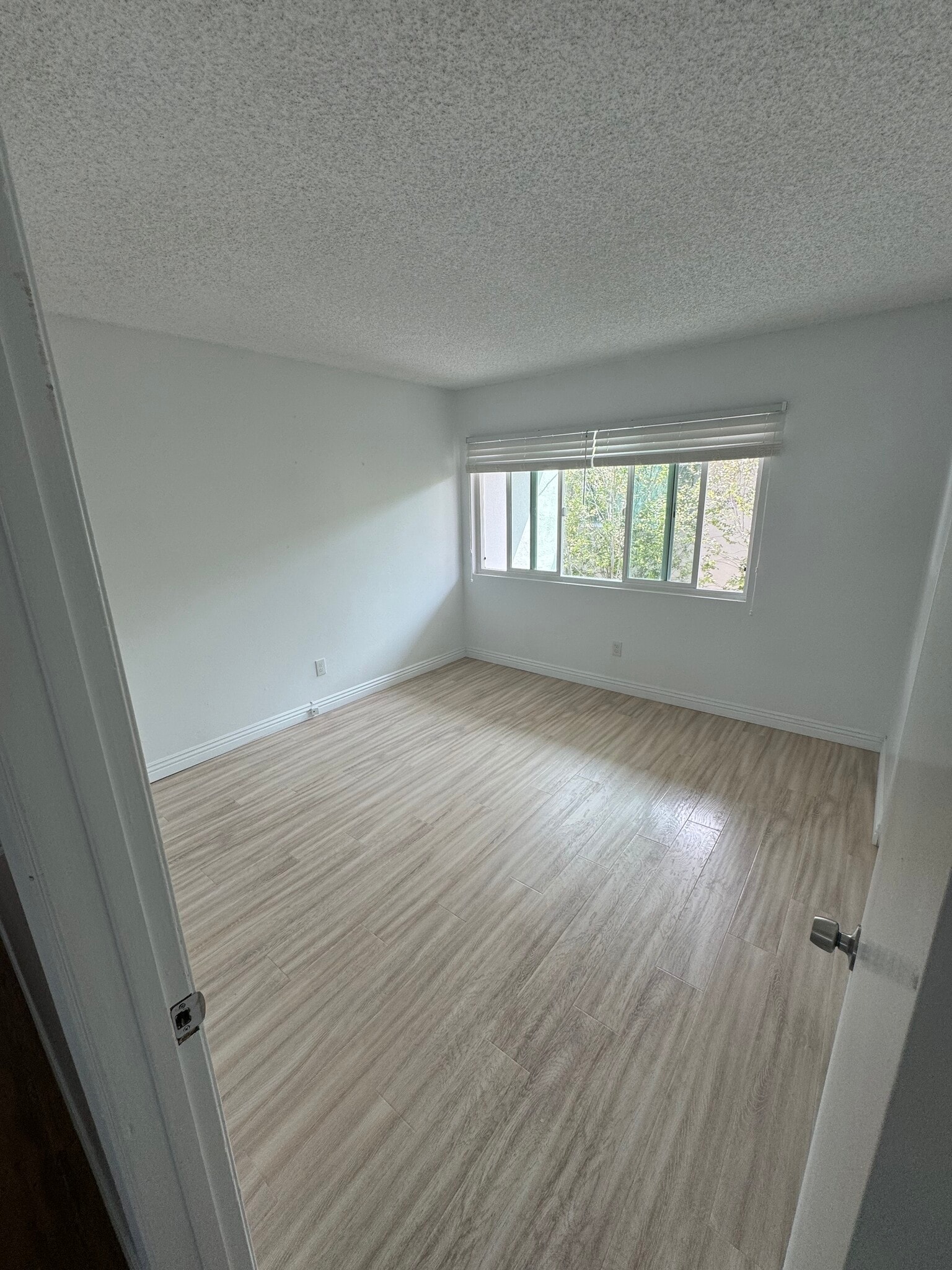 Building Photo - 1310 Agate St