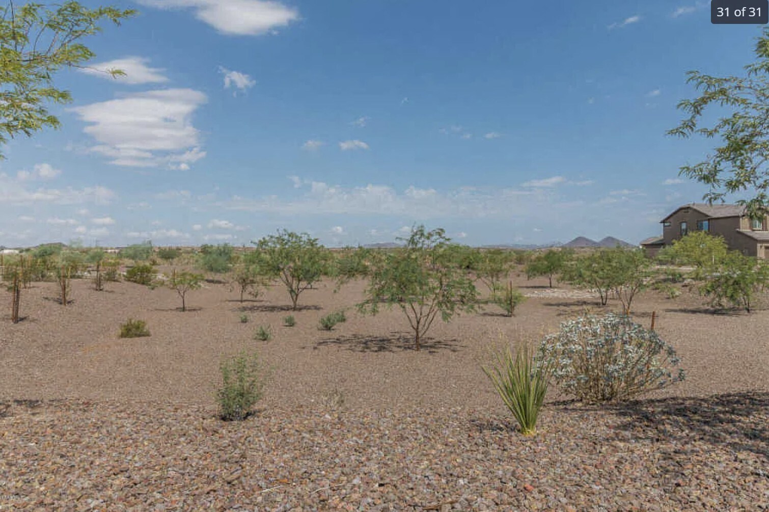 Building Photo - 10743 W Desert Elm Ln