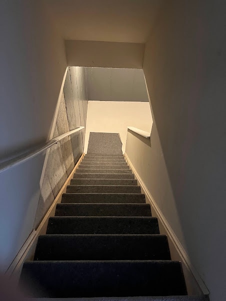 steps to basement - 3600 Old Forest Rd