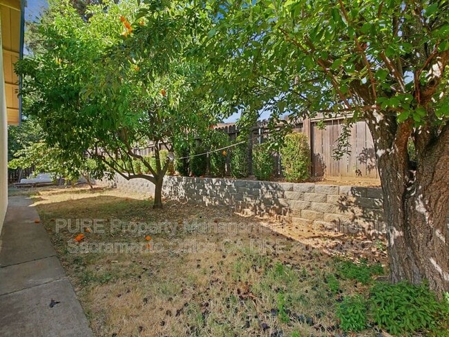 Building Photo - 3308 Chiswell Way