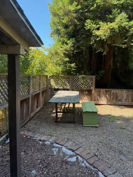 Patio - 2609 Dana St