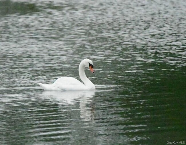 Building Photo - 42 Towd Point Rd