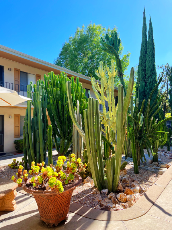 Building Photo - 850 S Rosemead Blvd