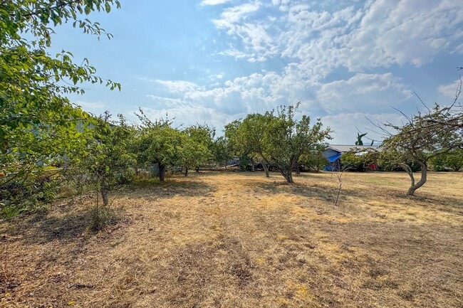 Building Photo - Large Home on Large Lot in Sequim