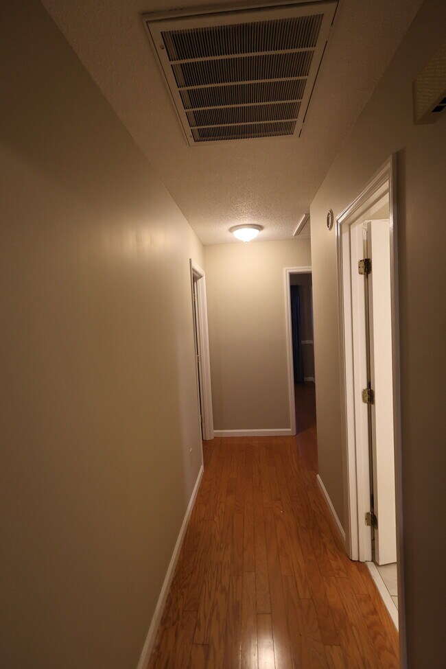 Building Photo - 313 Palomino Path