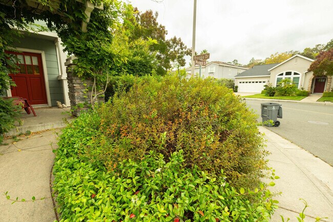 Building Photo - 115 Maybeck St