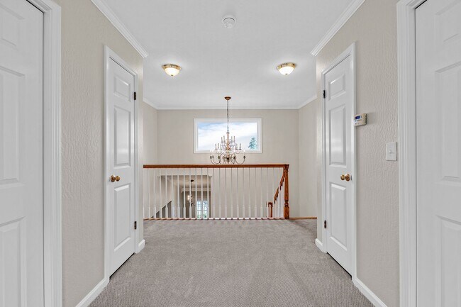 Building Photo - Stunning San Carlos 5 bedroom 4 bathroom H...