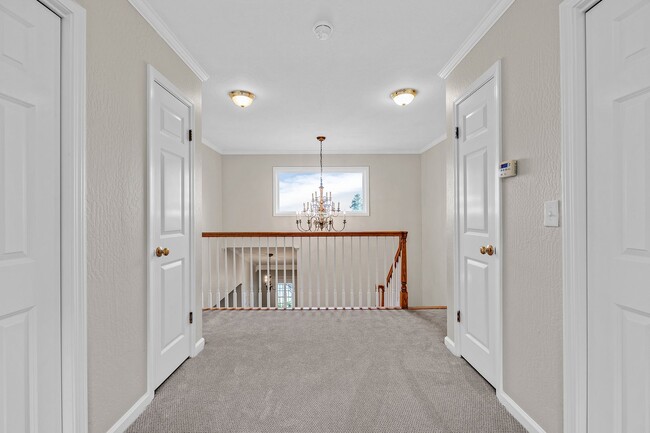 Building Photo - Stunning San Carlos 5 bedroom 4 bathroom House Available now