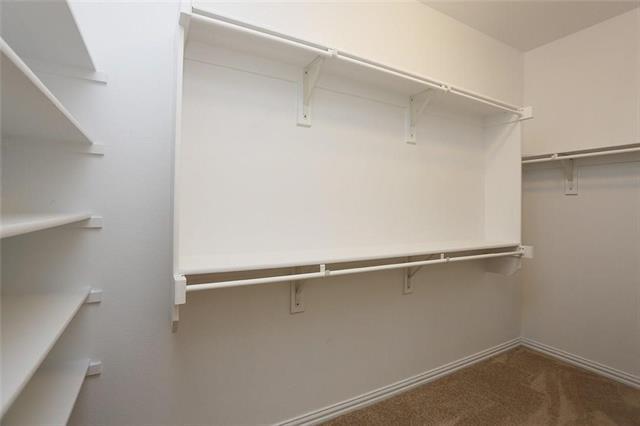 Building Photo - 708 Silver Moon Dr