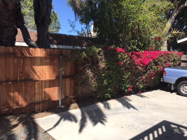 Building Photo - 365 Victoria St