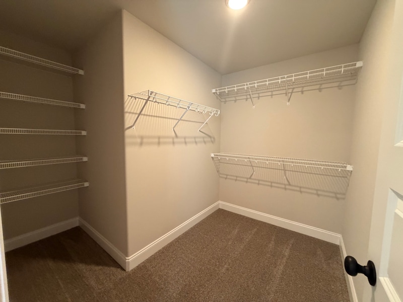 Building Photo - 2619 Parkers Mdw Ln