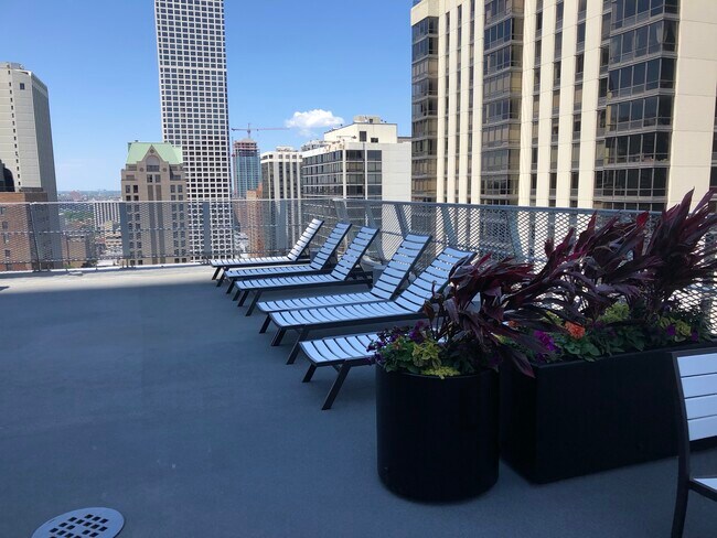 Shared roof deck - 1000 N Lake Shore Dr