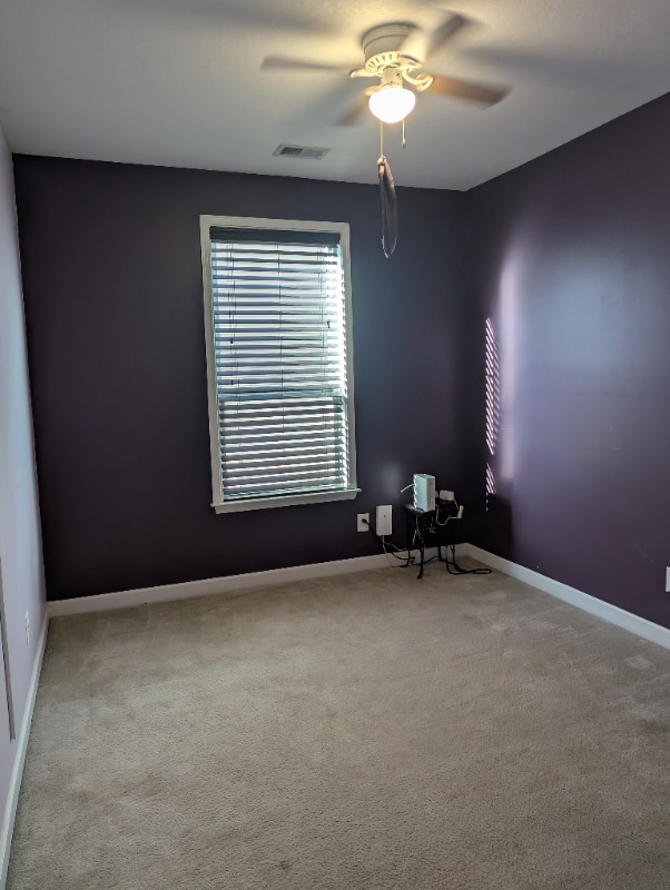 Building Photo - 4314 Connestee Ct