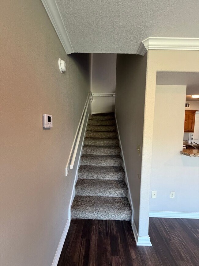 Building Photo - 2535 Pascal Ct