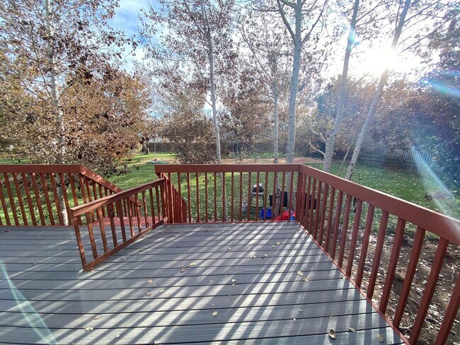 Building Photo - Beautiful Estate in South Fort Collins
