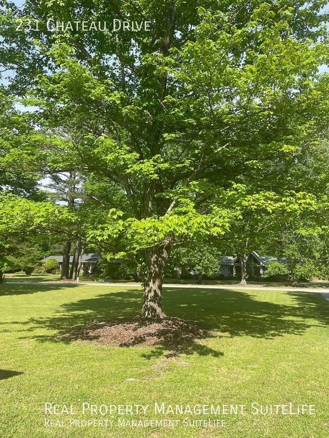 Building Photo - 231 Chateau Dr