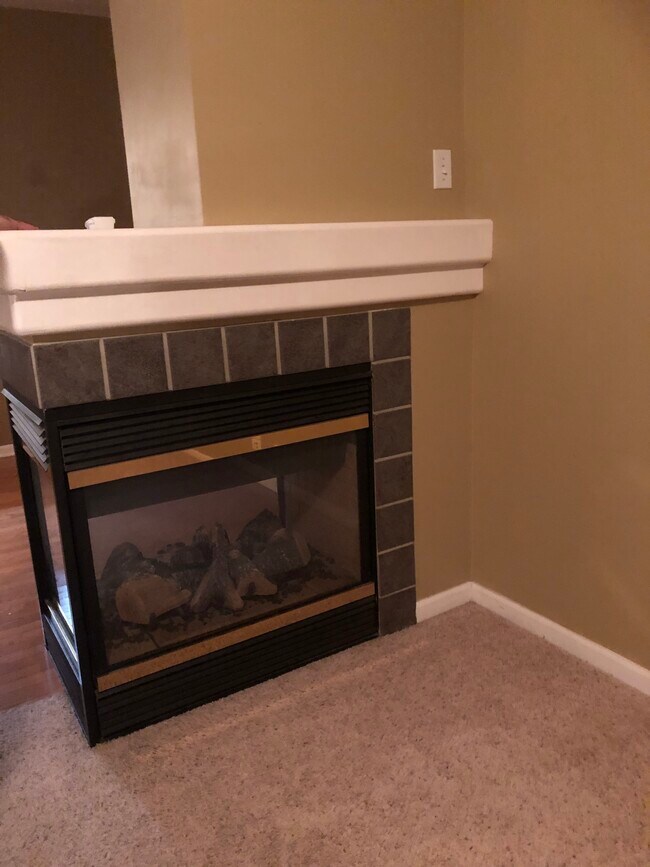 Building Photo - 617 Cary Woods Cir