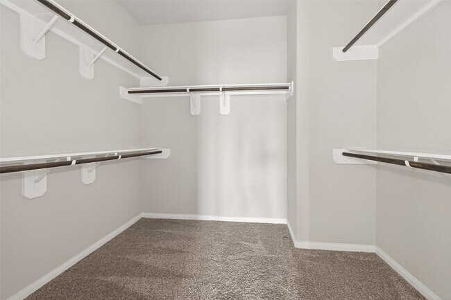 Building Photo - 24814 Scarlatti Cantata Dr