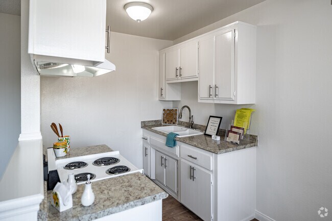 1BR, 1BA - Kitchen - 229 Woodruff Apartments