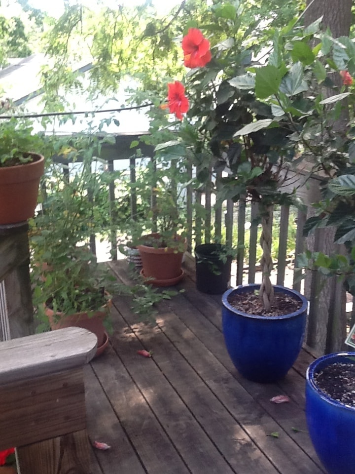 Price porch/balcony - 717 W Huron St