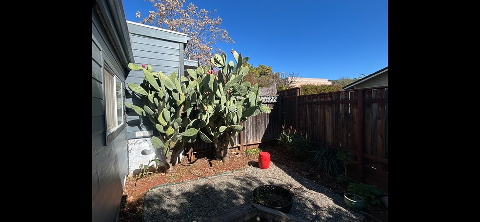 private backyard - 17709 Sunset Way