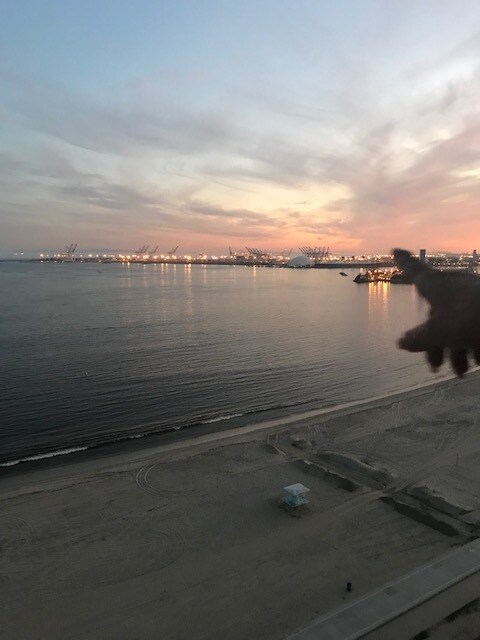 Building Photo - 1750 E Ocean Blvd