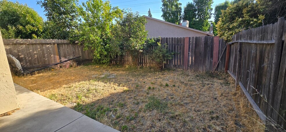 Backyard - 3314 Blue Ridge Cir