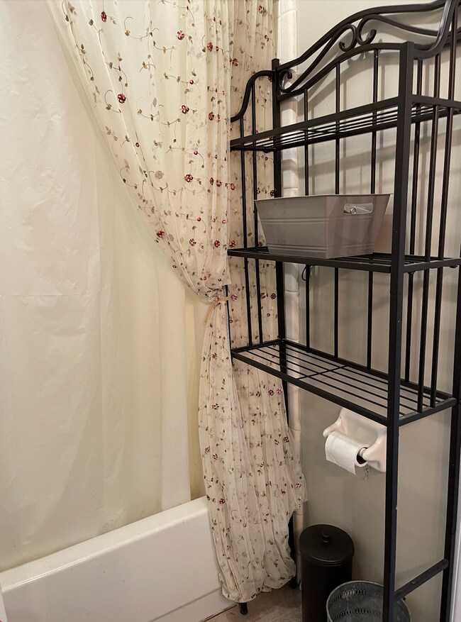 master tub - 1104 Greentree Ct