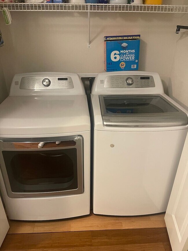 Building Photo - Serene & Charming 3 bedroom Home for Rent ...