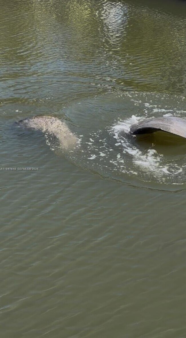 Building Photo - 11 Flamingo Rd