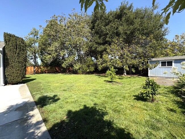 Building Photo - Charming 3BR/2BA Home in West Menlo Park