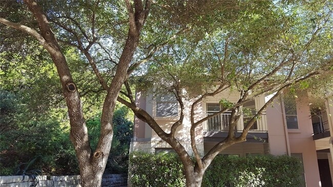 Building Photo - 6000 Shepherd Mountain Cove